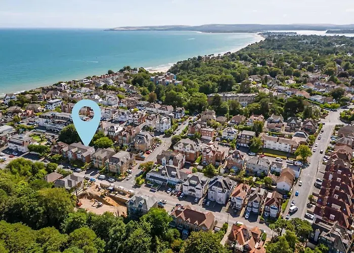 Daintree - Bournemouth