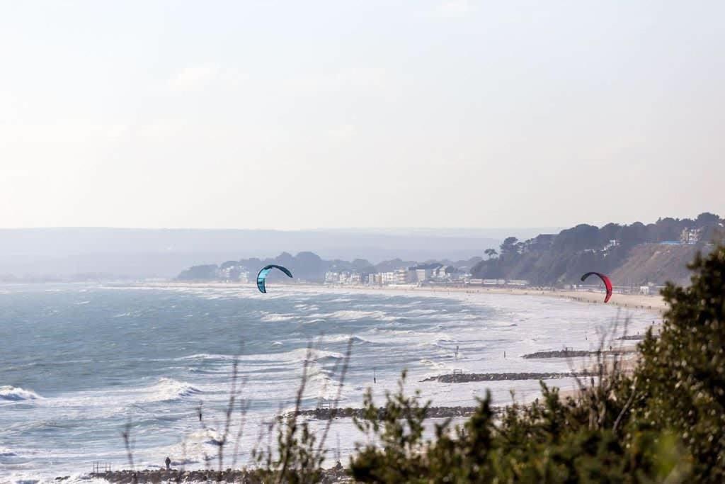 Daintree - Bournemouth