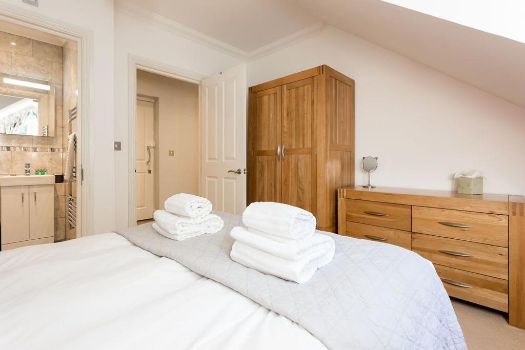 Daintree - * Bournemouth