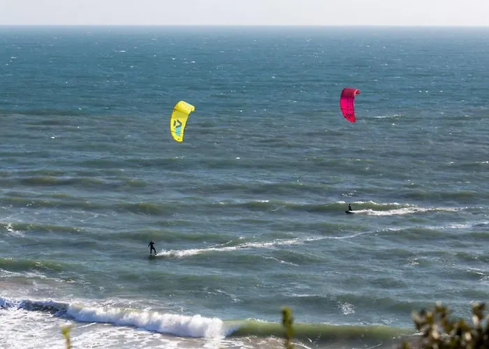 Daintree - Bournemouth