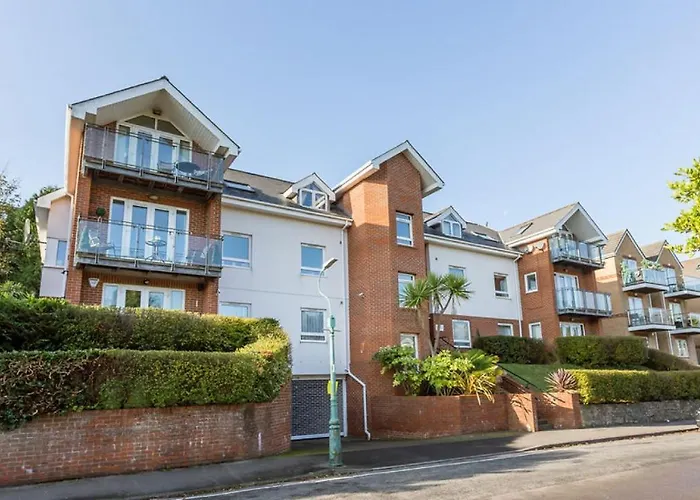 Daintree - Bournemouth