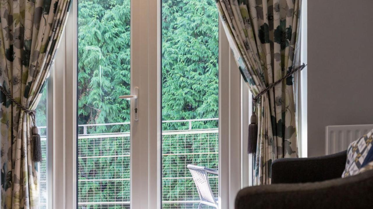 Daintree -