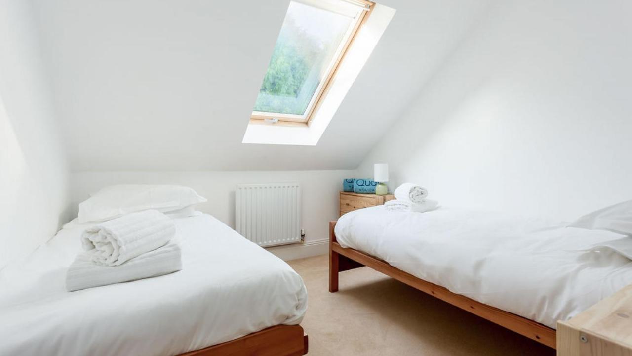 Daintree - * Bournemouth