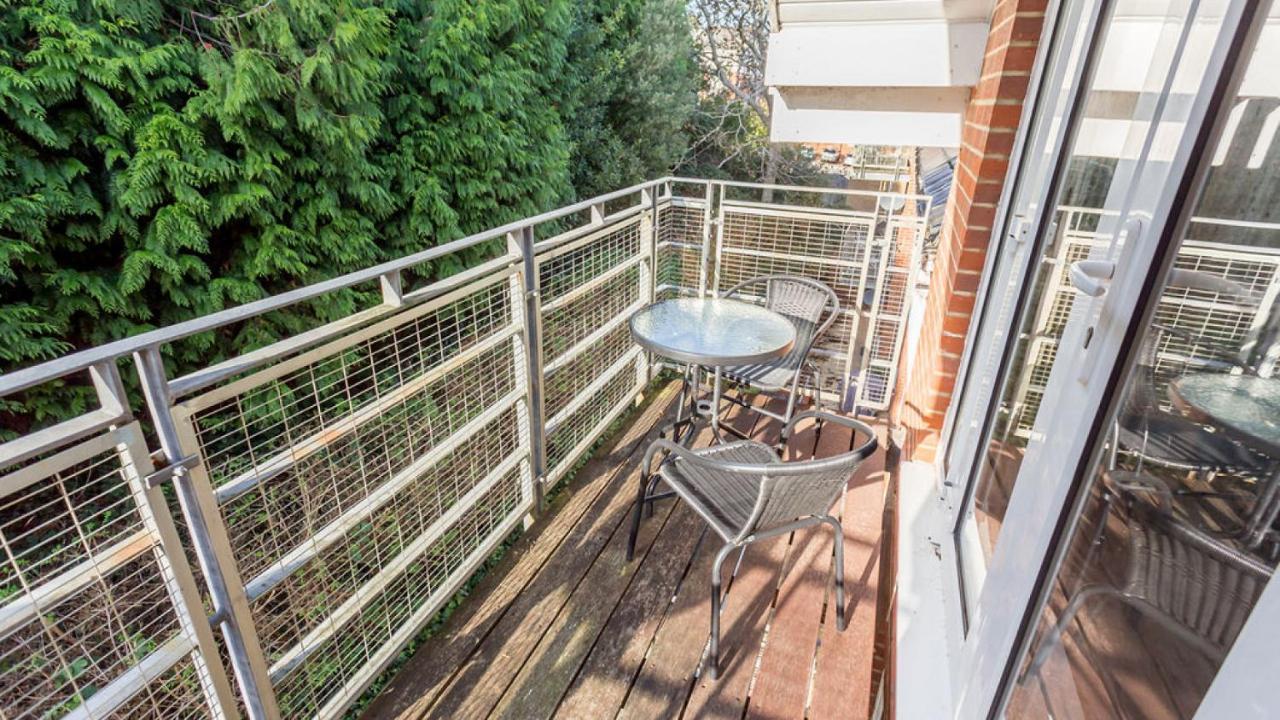 Daintree - * Bournemouth