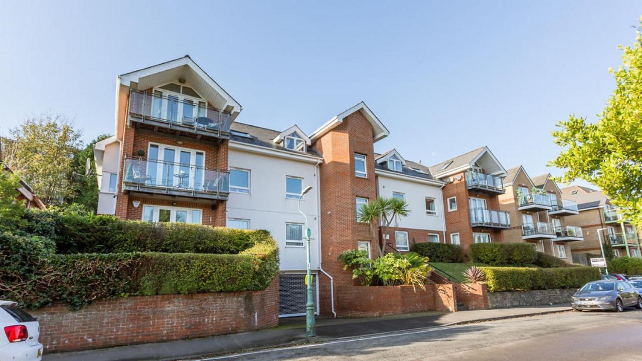 Daintree - * Bournemouth