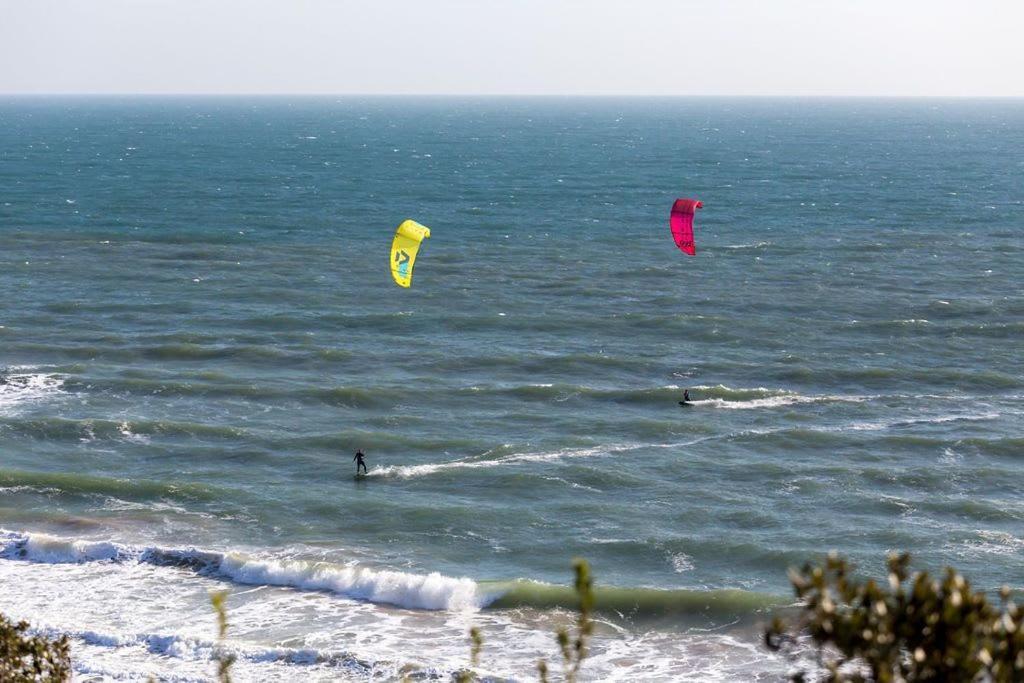 Daintree - * Bournemouth